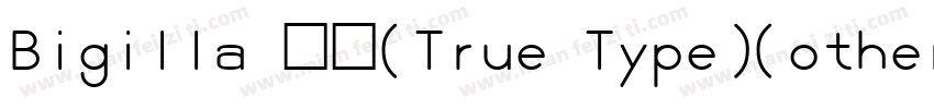 Bigilla 常规(True Type)(other)字体转换